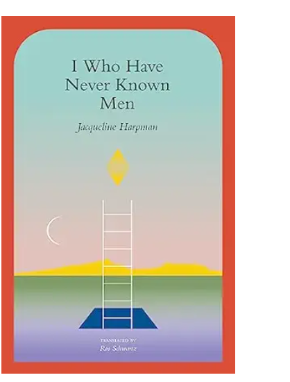 I Who Have Never Known Men by Jacqueline Harpman, 208 pages. Summary: Dystopian novel about 40 women locked underground for years. Finally, they are able to get free. Read the novel to find out what happens next.